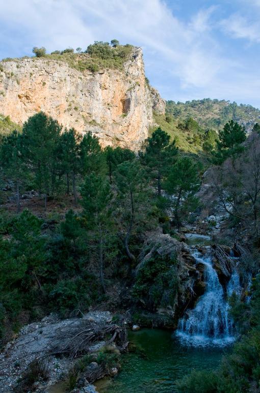 Arenas del Rey Complejo Rural El Molinilloヴィラ エクステリア 写真